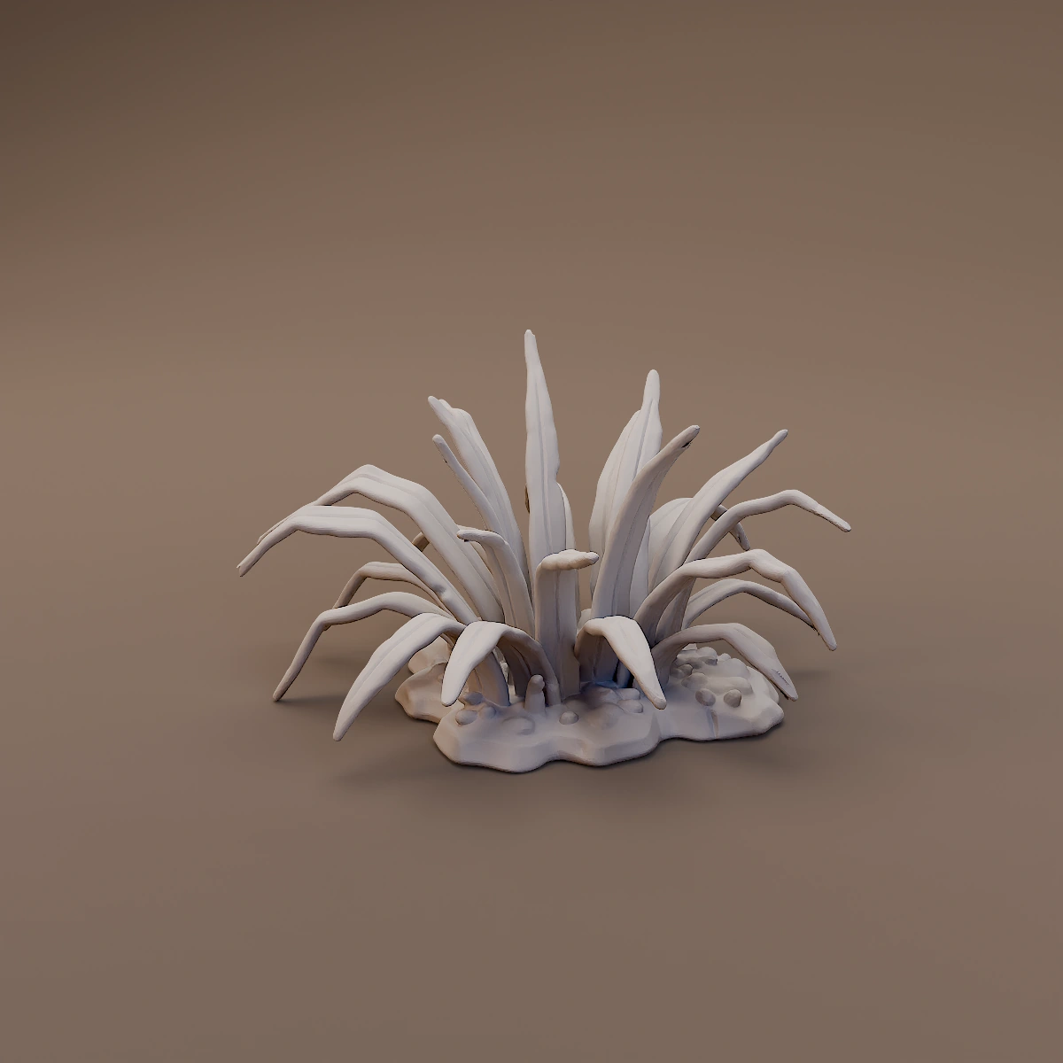 Low Marsh Grass