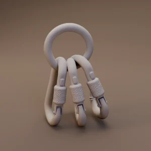 Carabiners on Metal Ring