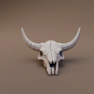 Weathered Horned Skull