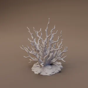 Leafless Desert Bush