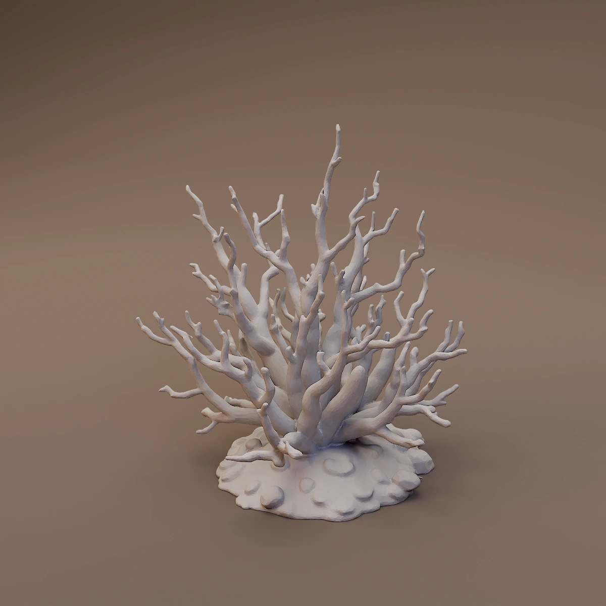 Leafless Desert Bush