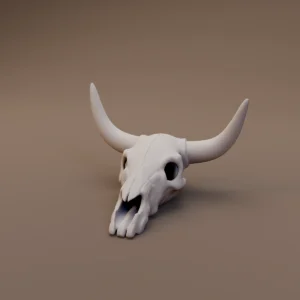 Long Horned Skull