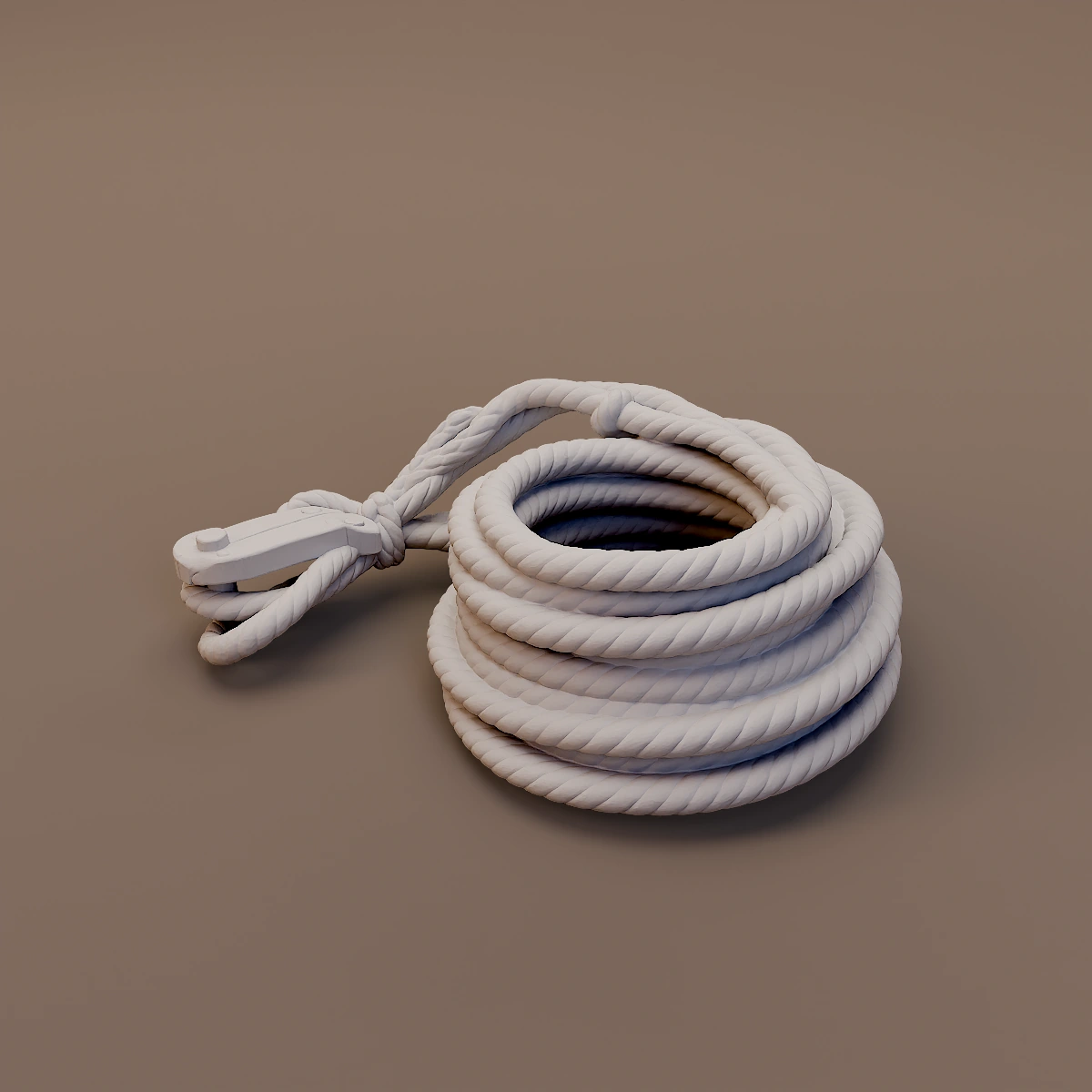 Coiled Rope with Hook