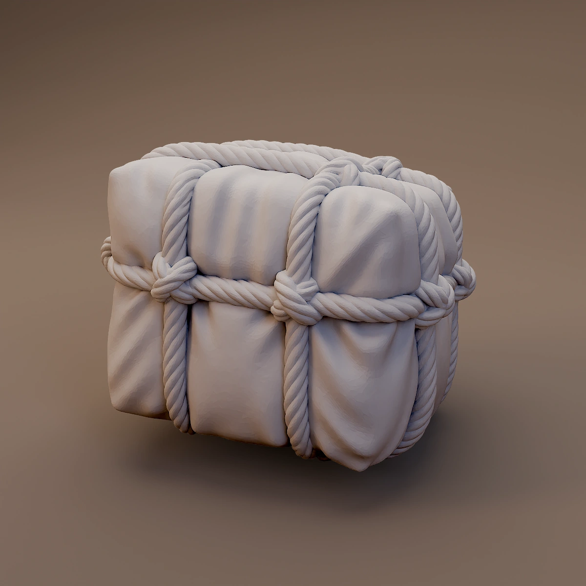 Square Rope Bound Bundle