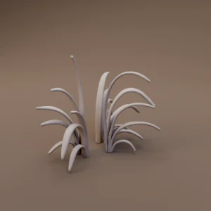 Marsh Grass Tuft