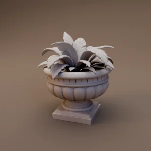 Leafy Plant in Ornamental Planter