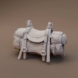 Saddle and Travel Gear