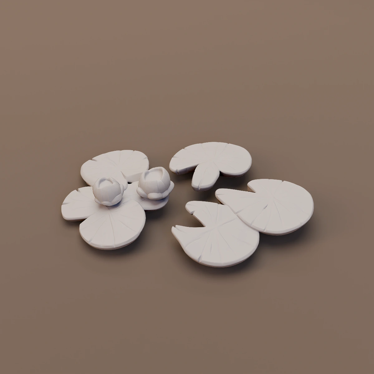 Lily Pads and Flowers
