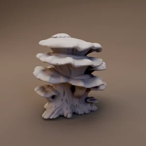 Large Shelf Mushroom Cluster