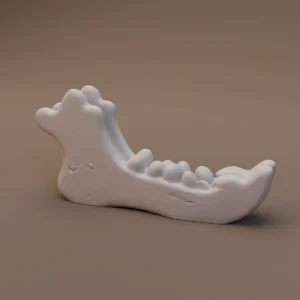 Animal Jawbone