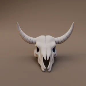 Curved Horned Animal Skull
