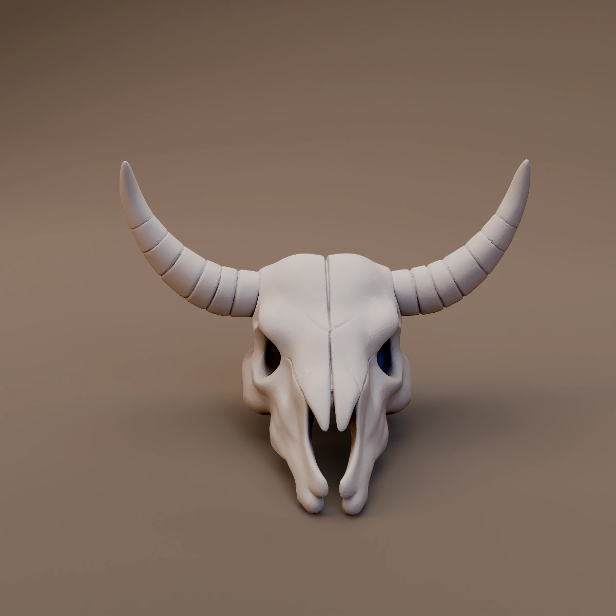 Curved Horned Animal Skull