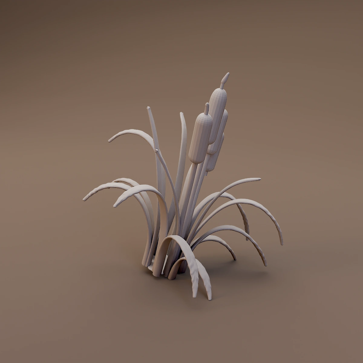 Small Cattail Clump