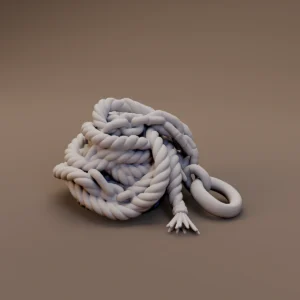 Needs Review Rope and Hooks