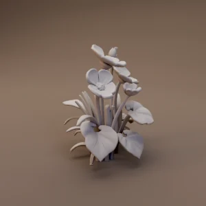 Flowering Broad Leaf Plant