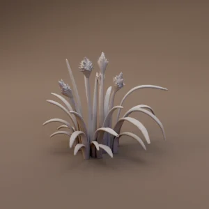 Flowering Reed Clump