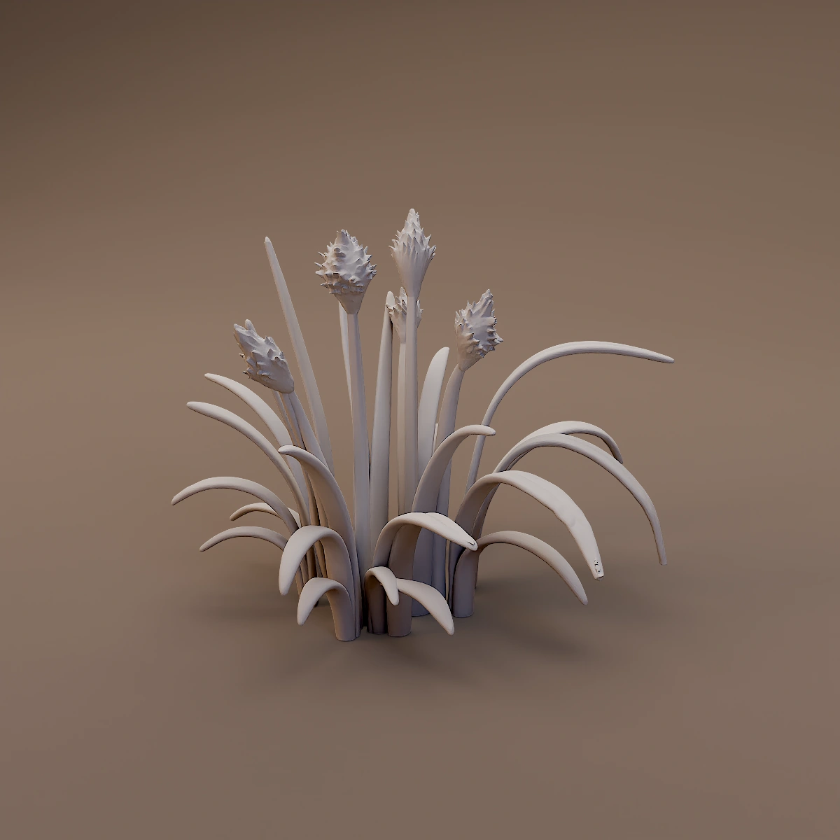 Flowering Reed Clump