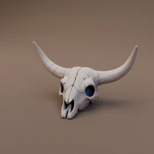 Horned Cattle Skull