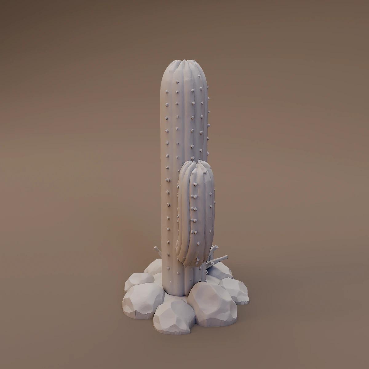 Tall Saguaro Cactus