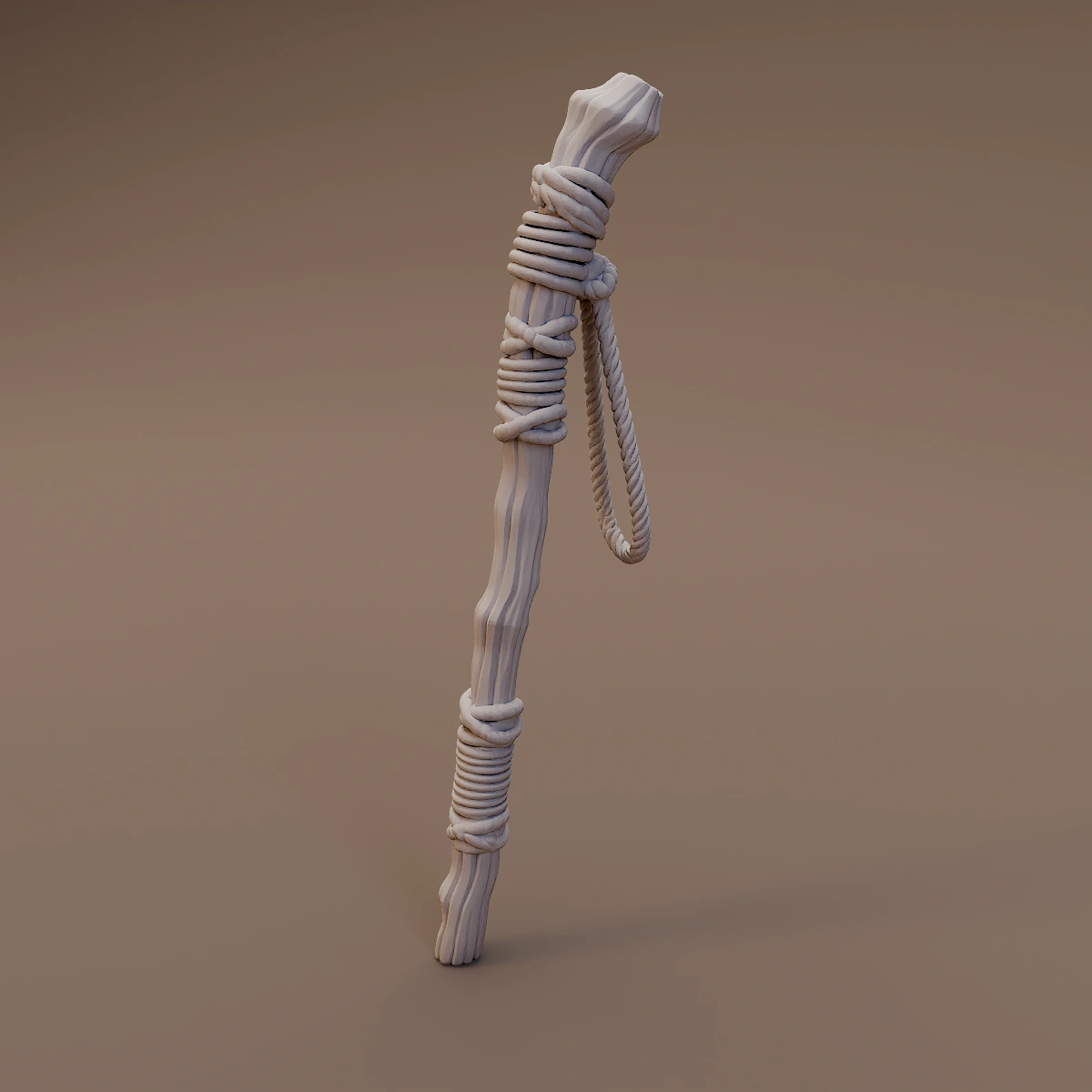 Rope Wrapped Walking Staff