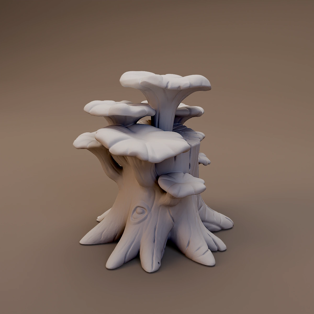 Tree Trunk Shelf Mushrooms