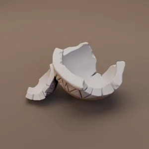 Needs Review Shattered Decorated Bowl