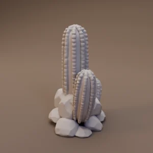 Cactus Cluster on Rocks