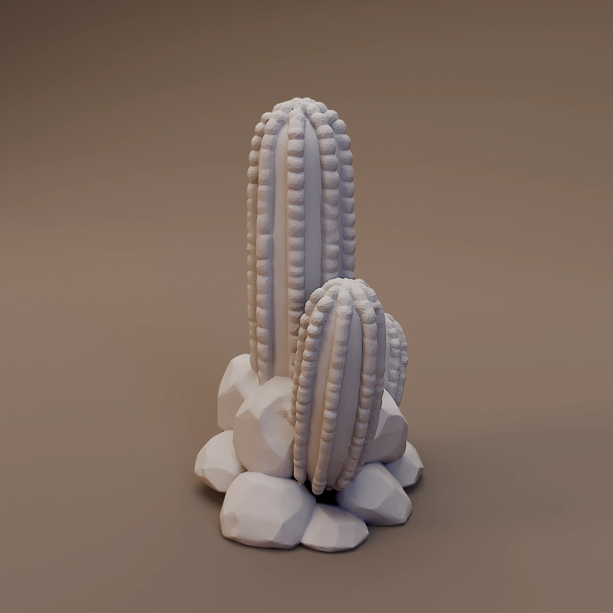 Cactus Cluster on Rocks