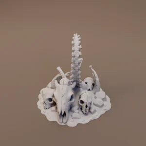 Skull and Curved Spine
