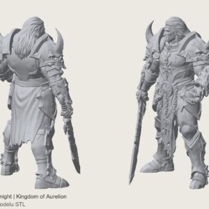 damned knight – Kingdom of Aurelion