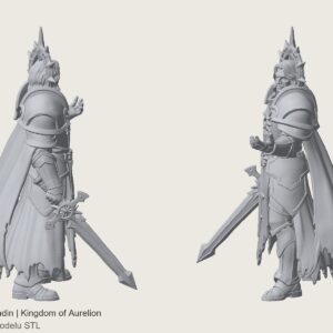 fallen paladin – Kingdom of Aurelion