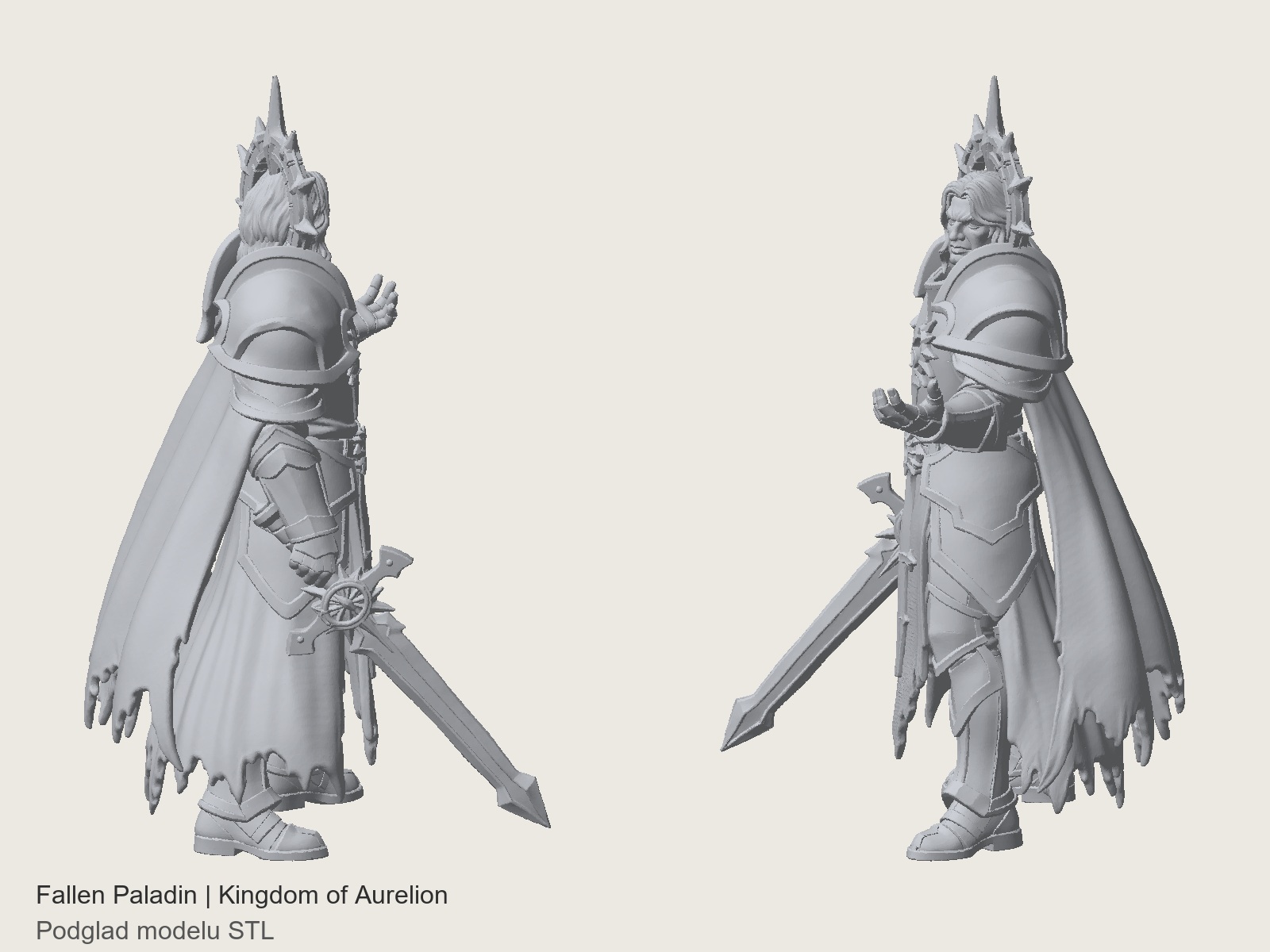 fallen paladin – Kingdom of Aurelion
