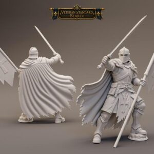veteran standard bearer – Kingdom of Aurelion